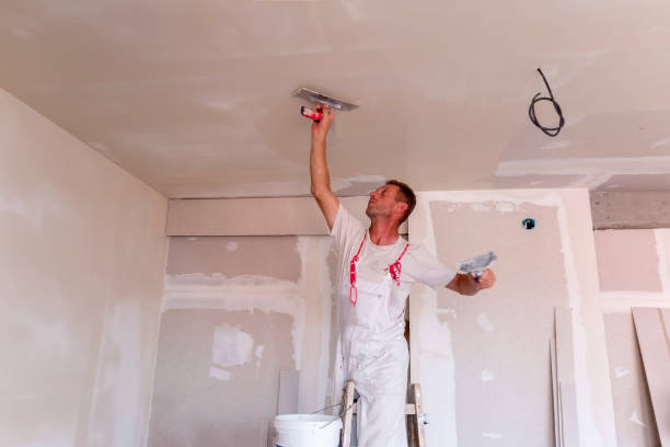 Best Trim and Molding Painting  in Maplewood, MO